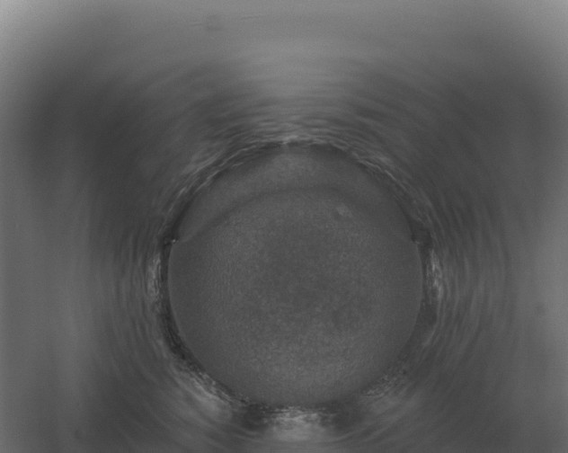 X0000061150760200511241831