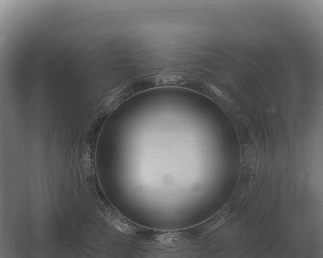 X0000061150761200511241831