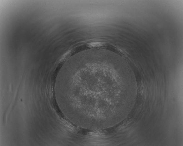 X0000061150763200511241831