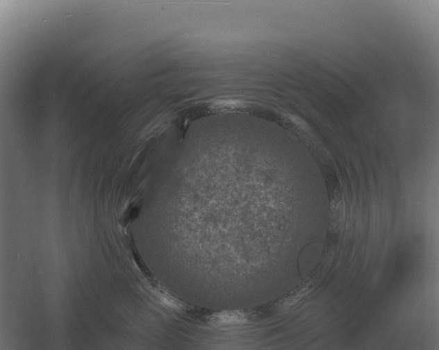 X0000061150765200511241831