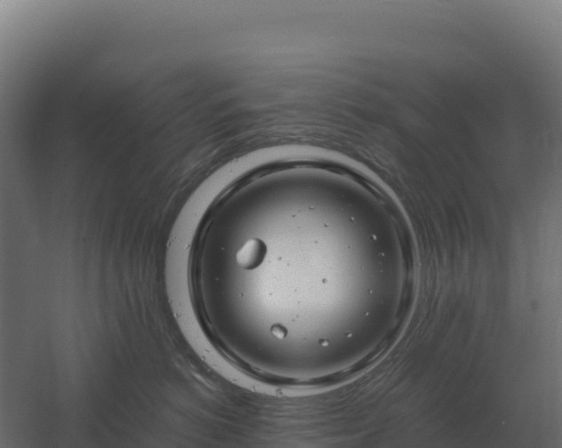 X0000061150766200511241831