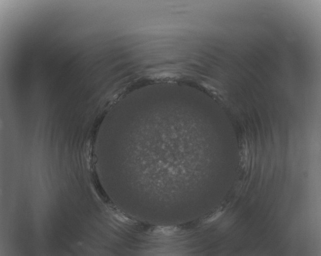 X0000061150767200511241831