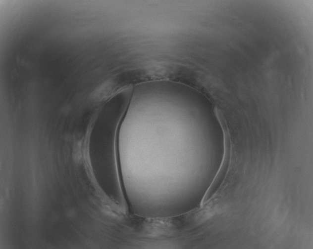 X0000061150768200511241831