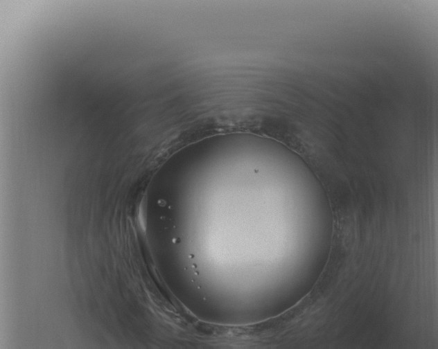 X0000061150770200511241830