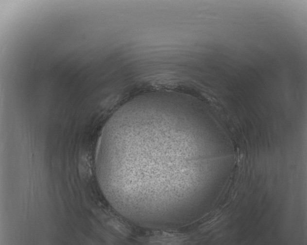 X0000061150772200511241830