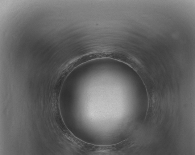 X0000061150773200511241830