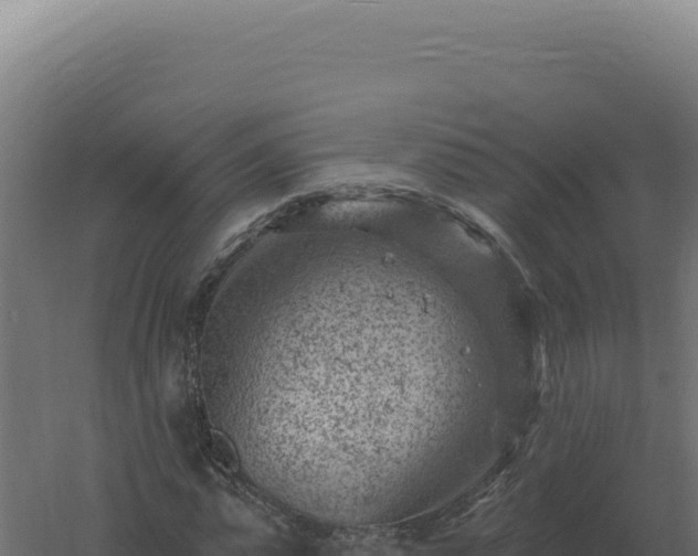 X0000061150775200511241830