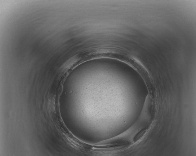 X0000061150777200511241830