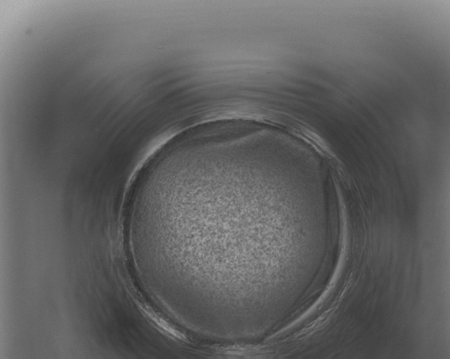 X0000061150780200511241830