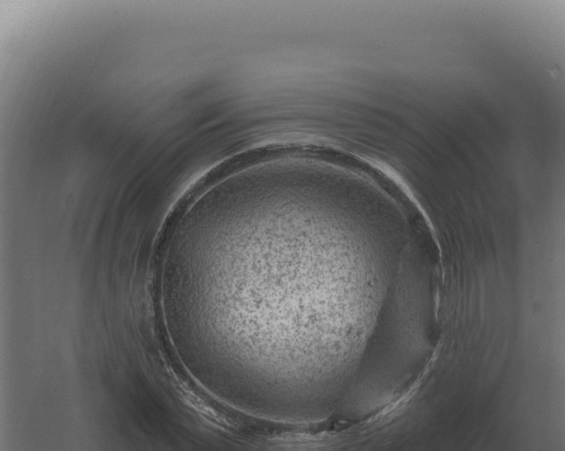 X0000061150783200511241830