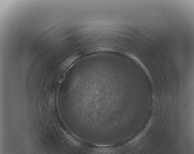 X0000061150785200511241830