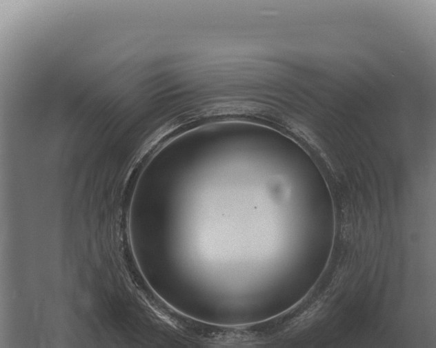 X0000061150786200511241830