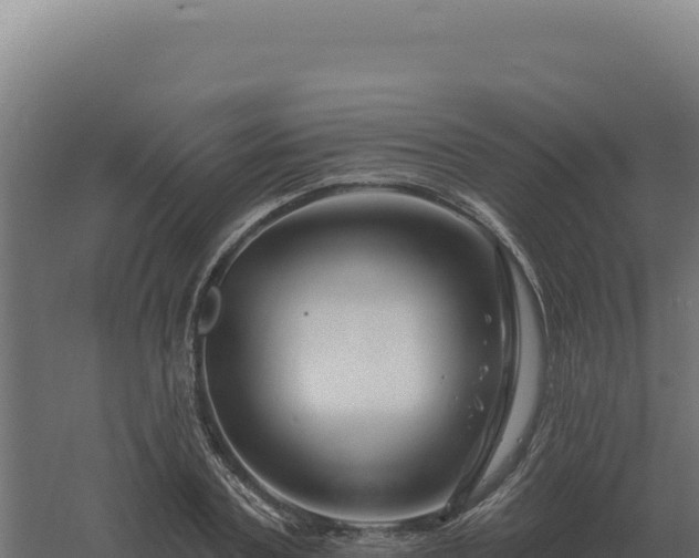 X0000061150787200511241829