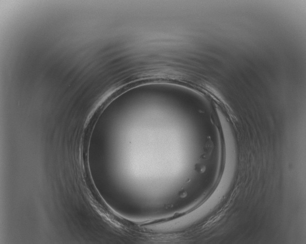 X0000061150788200511241829