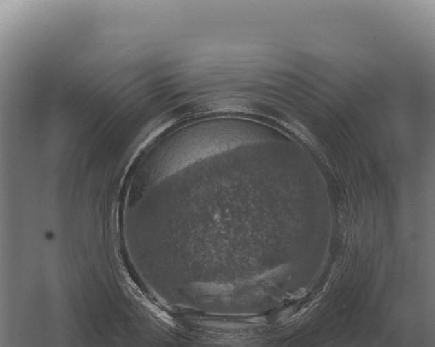 X0000061150790200511241829