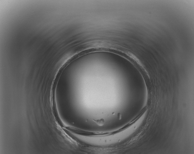 X0000061150791200511241829