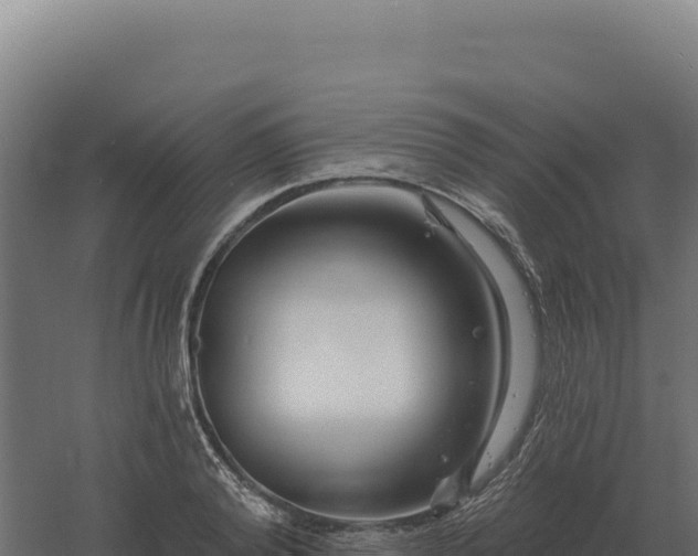 X0000061150792200511241829