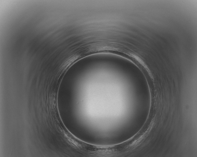 X0000061150793200511241829