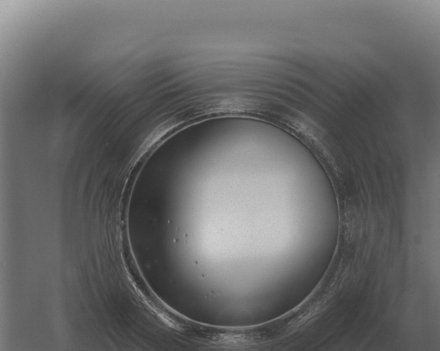 X0000061150794200511241829