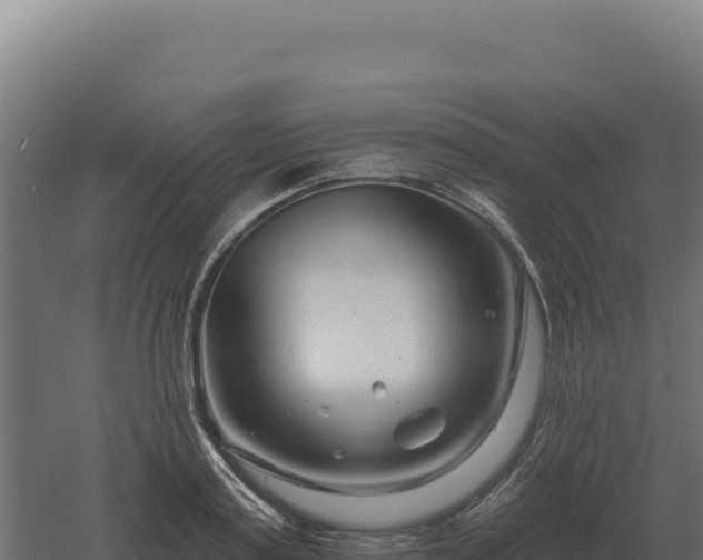 X0000061150795200511241829