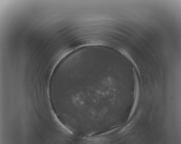 X0000061150797200511241829