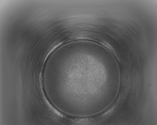 X0000061150798200511241829