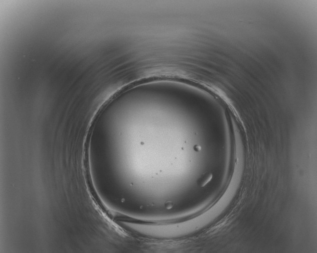 X0000061150799200511241829