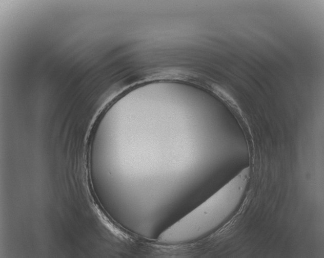 X0000061150800200511241829