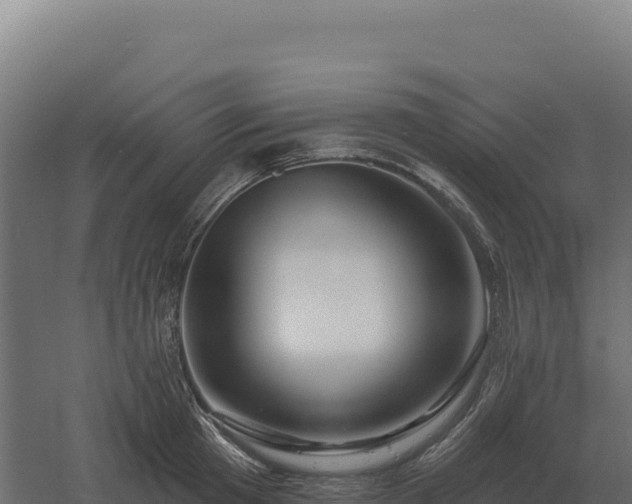 X0000061150801200511241829