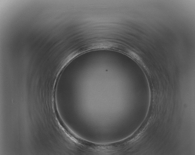 X0000061150802200511241829