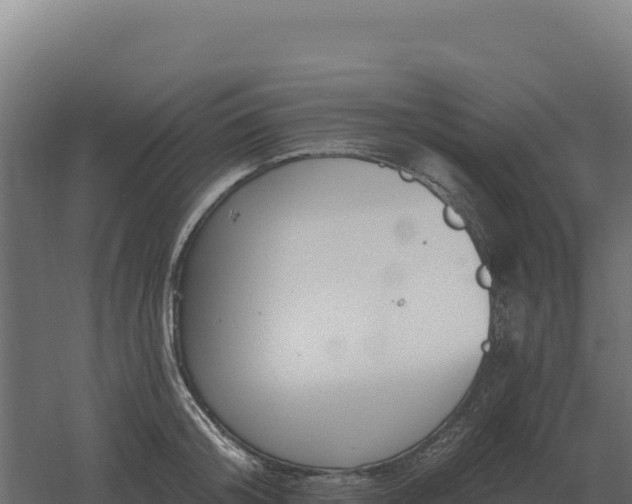 X0000061150804200511241829