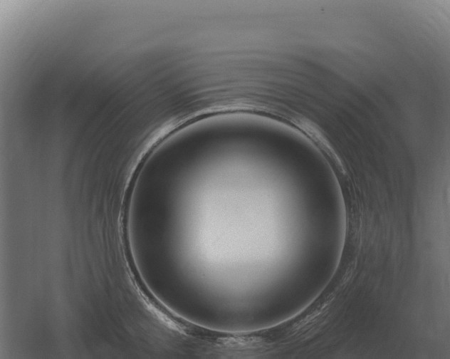 X0000061150805200511241829