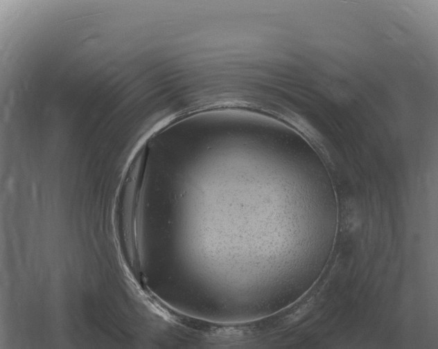 X0000061150806200511241829