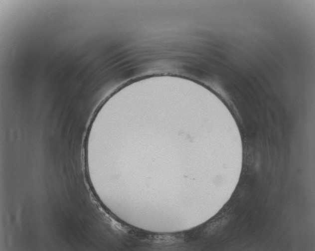 X0000061150807200511241829