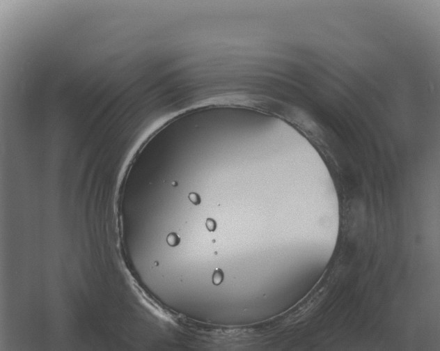 X0000061150808200511241829