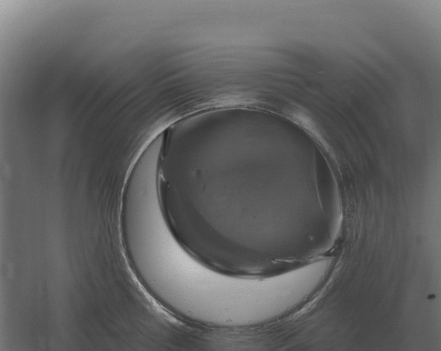 X0000061150810200511241829