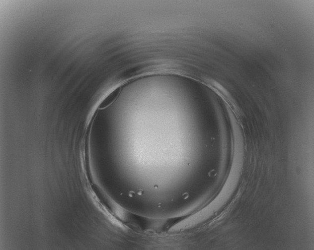 X0000061150812200511241829