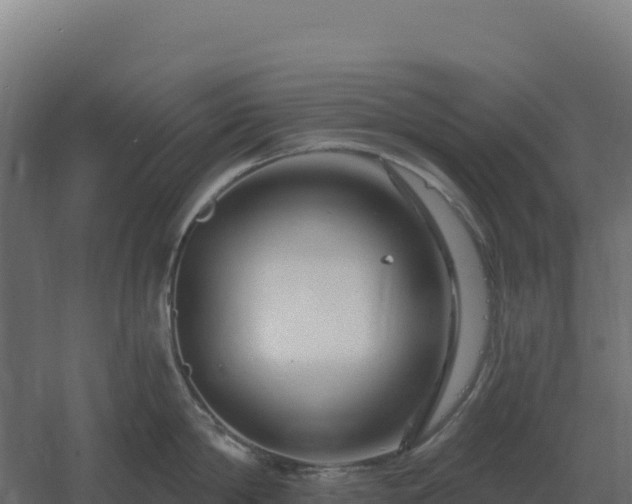 X0000061150814200511241829