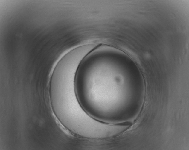 X0000061150816200511241829