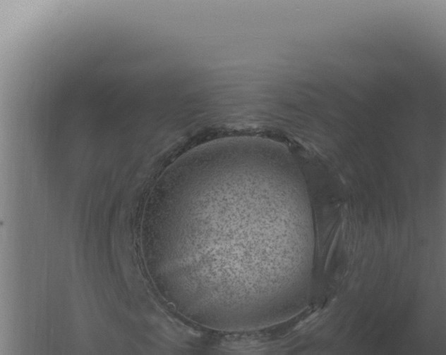 X0000061150817200511241828