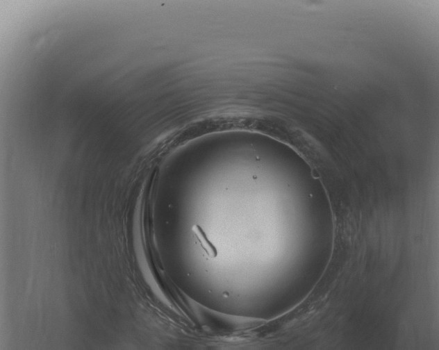 X0000061150821200511241828