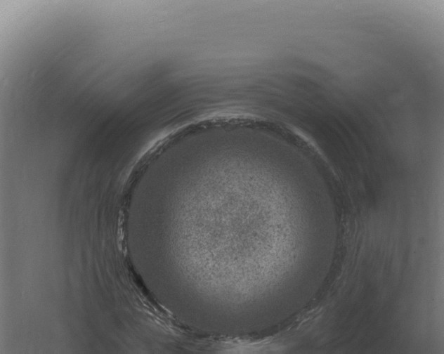 X0000061150823200511241828