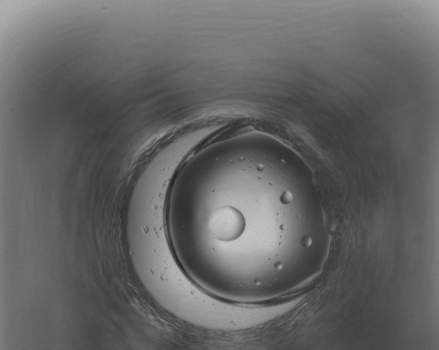 X0000061150824200511241828