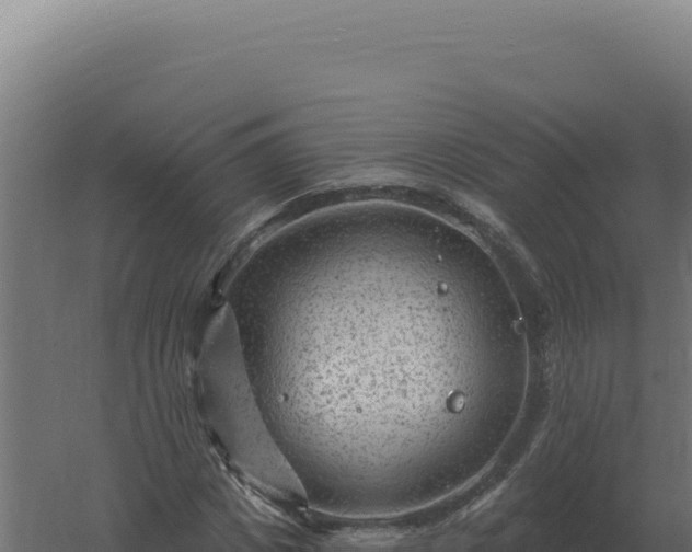 X0000061150825200511241828