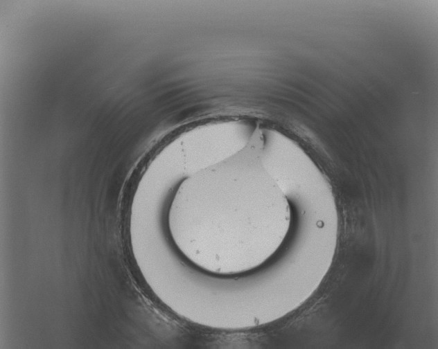 X0000061150828200511241828