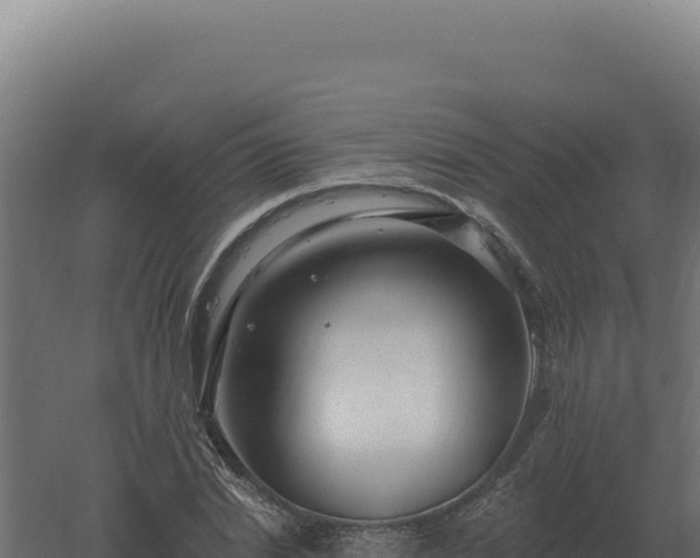 X0000061150830200511241828