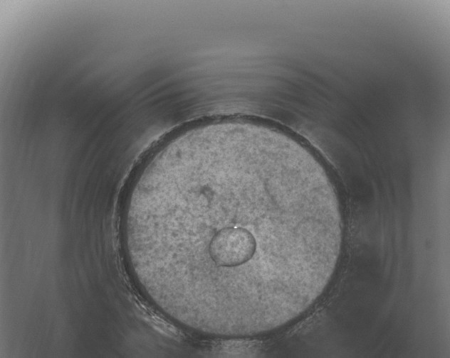 X0000061150832200511241828