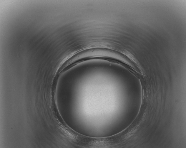 X0000061150834200511241828