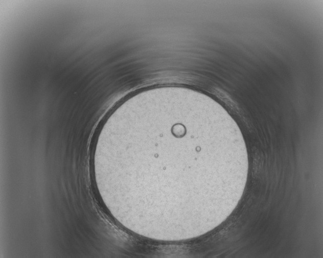 X0000061150836200511241828