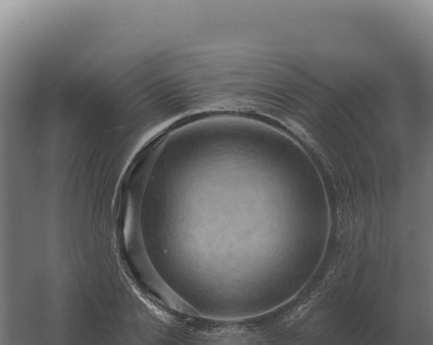 X0000061150838200511241829